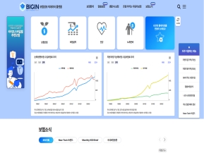 BIGIN 보험정보 빅데이터 플랫폼 인증 화면
